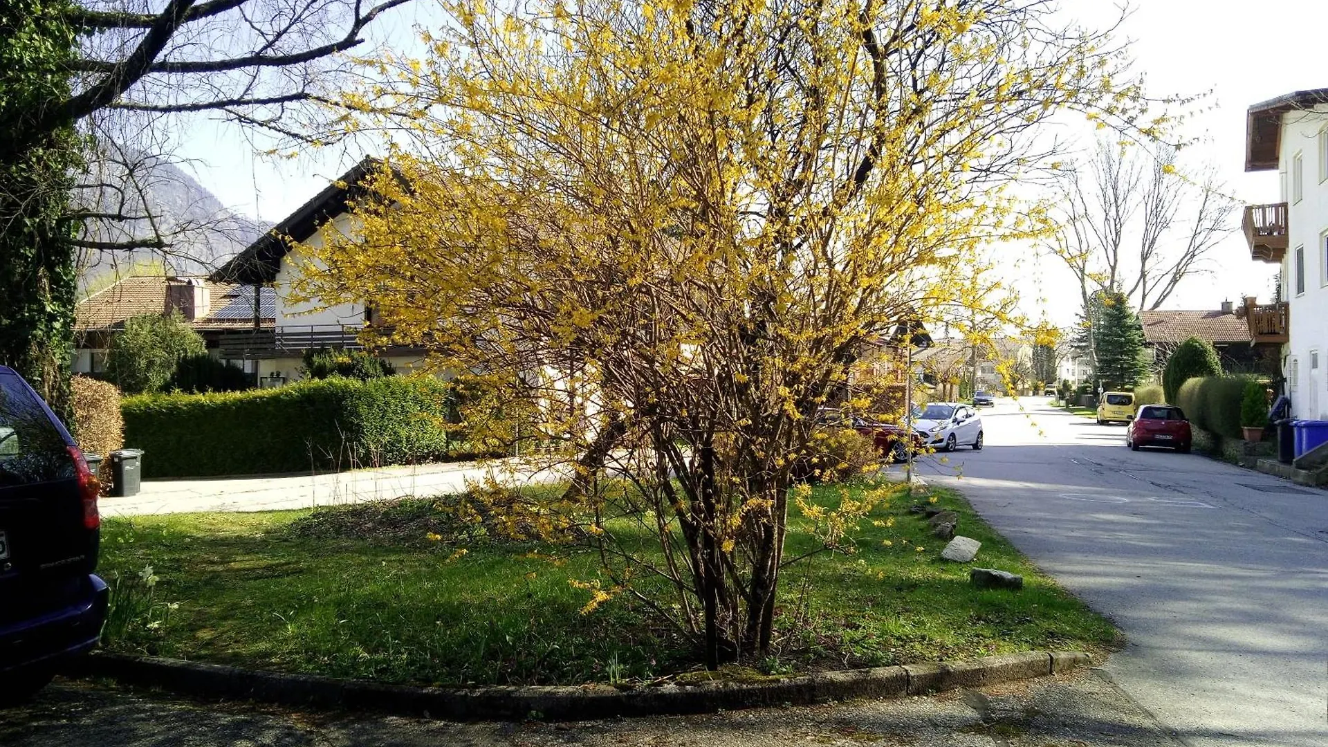 Ferienwohnung Thumseestrasse 18 Bad Reichenhall 0*,